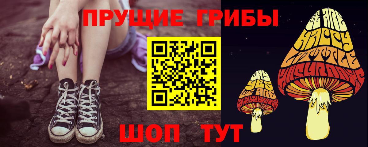 Псилоцибиновые грибы Psilocybine cubensis  Вход с VPN  Карпинск  Псилоцибиновые грибы Cubensis 